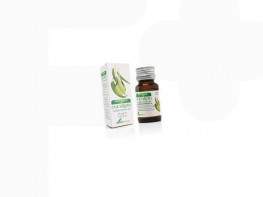 Imagen del producto Eucalipto aceite esencial 15ml     soria