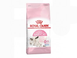Imagen del producto Royal Canin pienso para gato FHN babycat 400gr