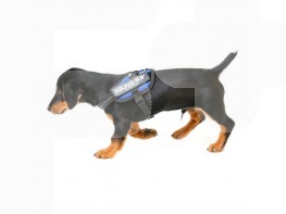 Imagen del producto Julius arnés idc mini azul