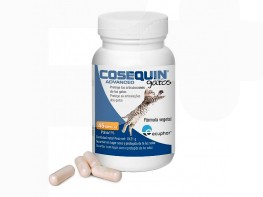 Imagen del producto Ecuphar Cosequin advance gato msm ha 45caps ecup