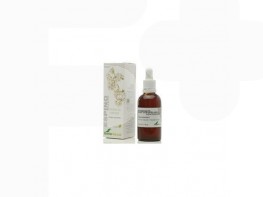 Imagen del producto ESPINO B. EXTRACTO GLICE.50ML  XXI SORIA