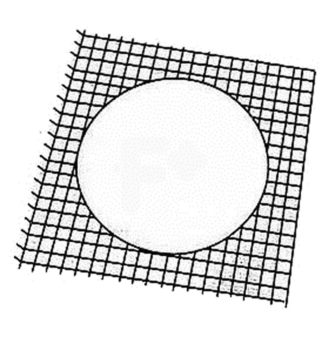 Correa Ubrique estampado sandias S 130cm