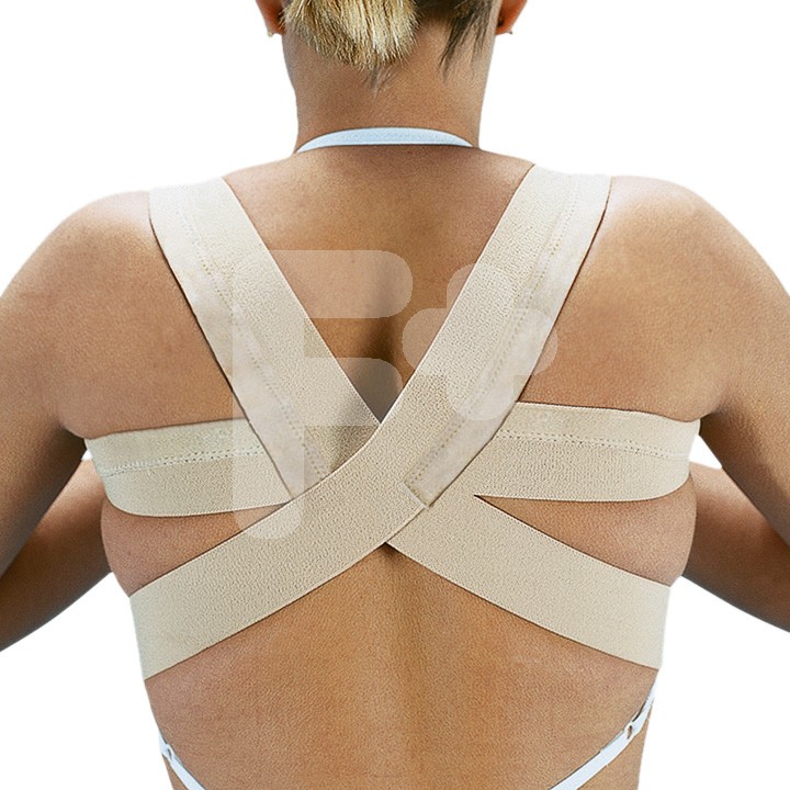 ESPALDILLERA NORMAL T.2 E240 ORLIMAN