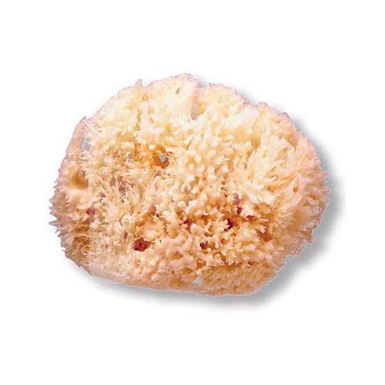 Suavinex Esponja natural grande