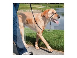 Easy walk collar de manejo para perros   negro pequeño