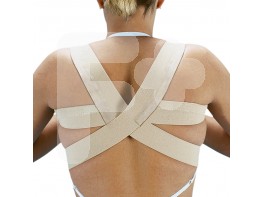 ESPALDILLERA NORMAL T.3 E240 ORLIMAN