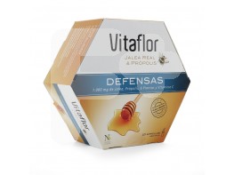 Vitaflor defensas equinacea 20 viales