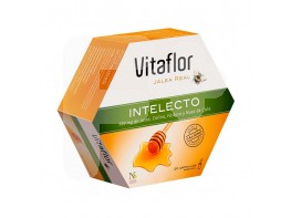 Vitaflor intelecto 20 viales
